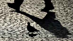 SPD will verbale Belästigung strafbar machen: "Können wir nicht tolerieren" 