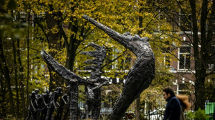 Dutch PM apologises for 250 years of slavery