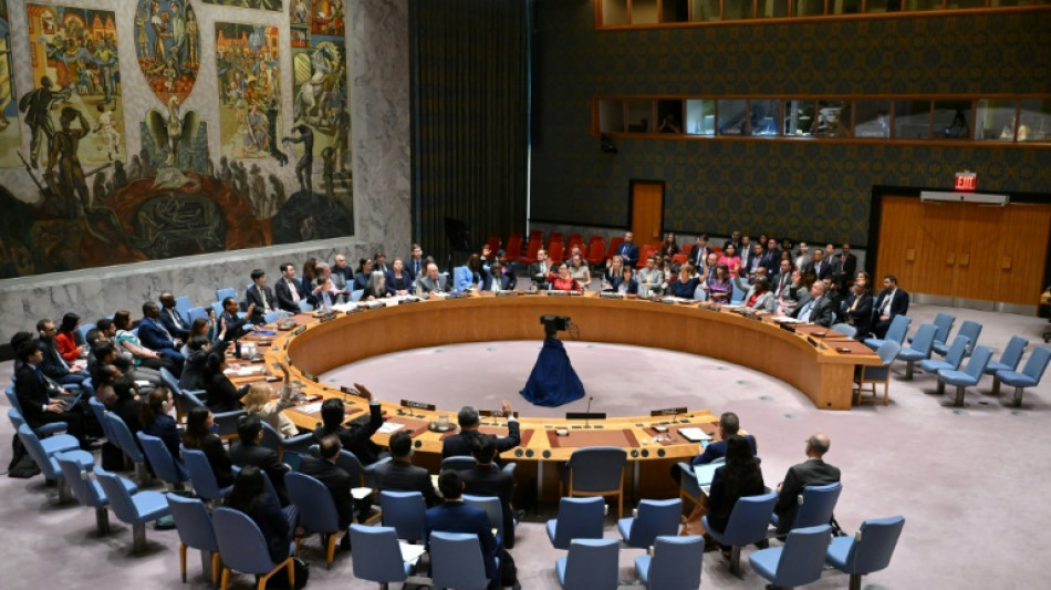 Conselho de Seguran&ccedil;a da ONU apoia plano de tr&eacute;gua em Gaza