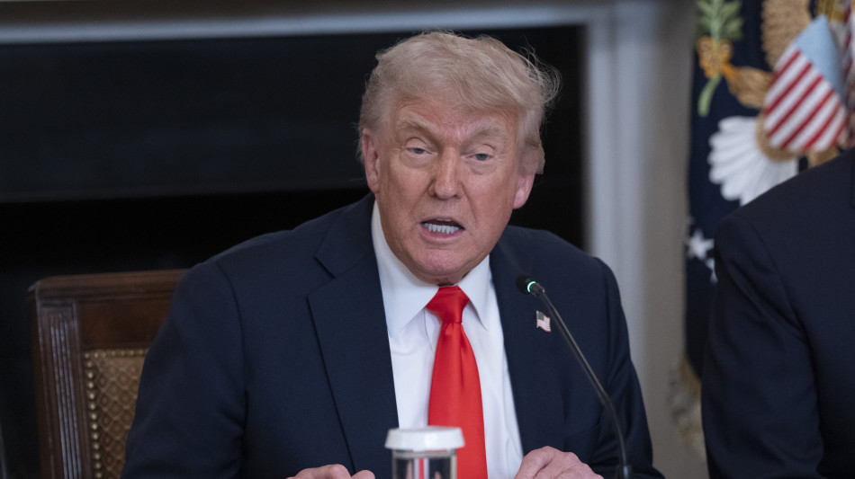 Trump, 'ad Elon non penso proprio, ha un problema'