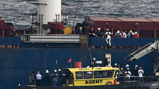 Concluye en Turqu&iacute;a la inspecci&oacute;n del primer buque con grano ucraniano