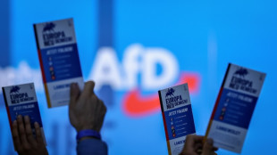 AfD beschlie&szlig;t Beitritt zu rechter europ&auml;ischer Dachpartei ID
