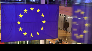 Lille ospiter&agrave; la nuova agenzia delle dogane Ue, Roma battuta