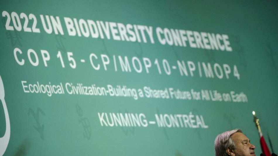 Comienza la COP15, la cumbre de la d&eacute;cada para salvar la naturaleza
