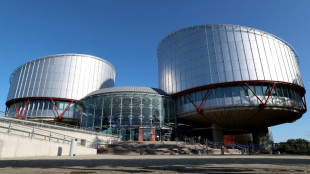 Europarat warnt vor Schwächung der Menschenrechtskonvention