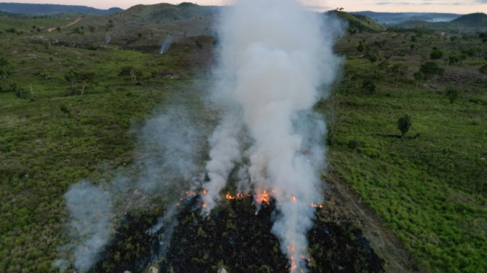 Desmatamento na Amazônia Legal cai 11% em um ano