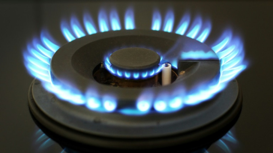 Bundestag billigt Gaspreisbremse