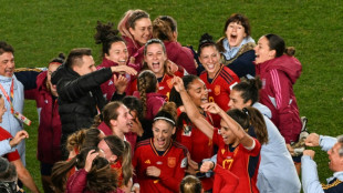 'Work of art' sends Spain into first World Cup final