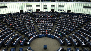 El Parlamento Europeo pide la inclusi&oacute;n del aborto entre los derechos fundamentales de la UE