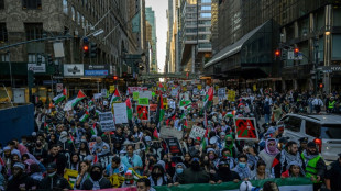 Tausende Demonstranten in New York fordern "Befreiung Pal&auml;stinas"