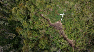 Brazil team returns to Colombian site of doomed jet crash