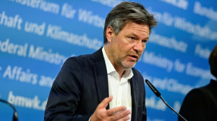 Habeck: Unternehmen planen Gro&szlig;investitionen mit Volumen von 80 Milliarden Euro