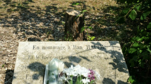 Enquête ouverte après l'abattage d'un olivier à la mémoire d'Ilan Halimi, indignation unanime