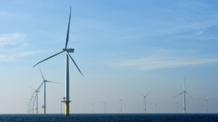 Gewerkschaften warnen vor Fachkr&auml;ftemangel bei Windkraftausbau