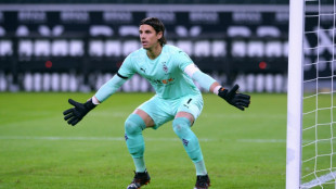 Bayern sign goalkeeper Yann Sommer from Gladbach