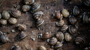 Dr&ocirc;me: la beaut&eacute; de Mona Lisa et les escargots bio