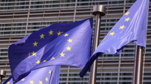 Ue, 'pronti a valutare proposte compiute su hub europei di rimpatrio'
