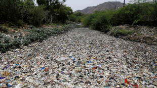 UNO ver&ouml;ffentlicht ersten Entwurf f&uuml;r weltweites Abkommen gegen Plastikm&uuml;ll