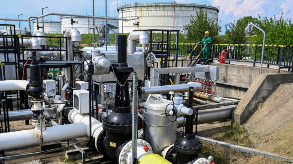 Ungarn will 700 zus&auml;tzliche Kubikmeter Gas von Russland kaufen