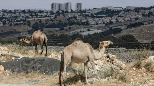 UK summons Israeli envoy over West Bank settlement project