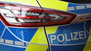 Sachsen: Kutscher rammt auf Flucht vor Polizeikontrolle Streifenwagen