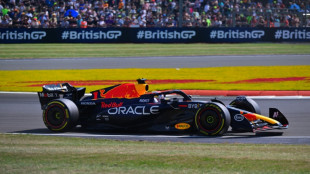 Verstappen pips Sainz as Red Bull rule British GP practice