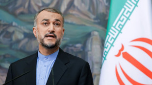 Ir&aacute;n acusa a Occidente de ayudar a los manifestantes a fabricar armas