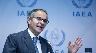 Iran entzieht mehreren IAEA-Inspektoren ihre Akkreditierung