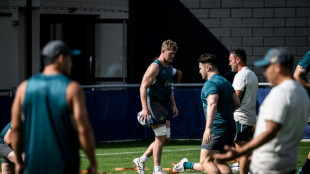 Georgia hold potent sting, warns Australia lock Arnold