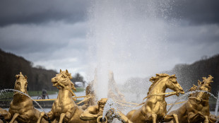 Bambina fragile morta per un malore a Versailles