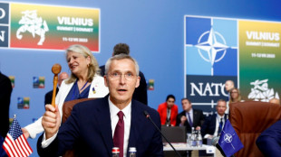 Nato kn&uuml;pft Beitrittseinladung f&uuml;r Ukraine an "Bedingungen"