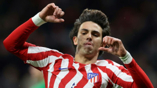 Chelsea sign Portugal forward Joao Felix on loan 