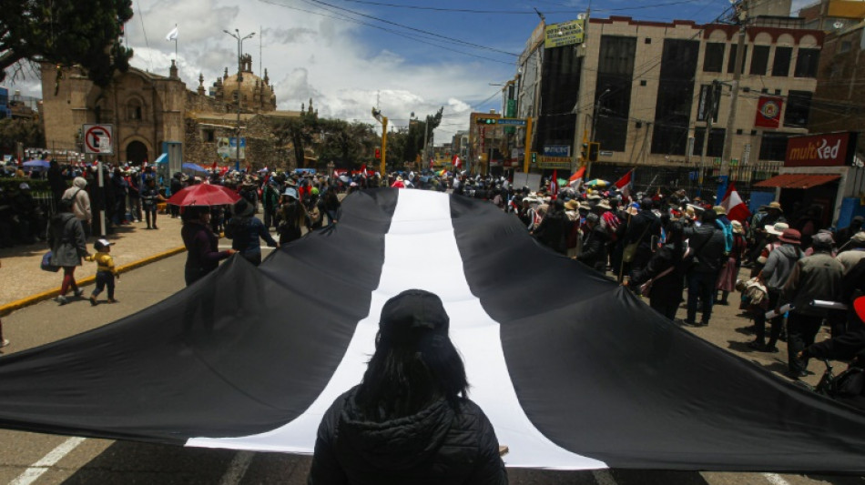 Presidenta de Per&uacute; lamenta rechazo del Congreso de anticipar comicios ante protestas sin cese