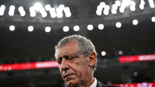 Former Portugal boss Santos named as Poland coach 