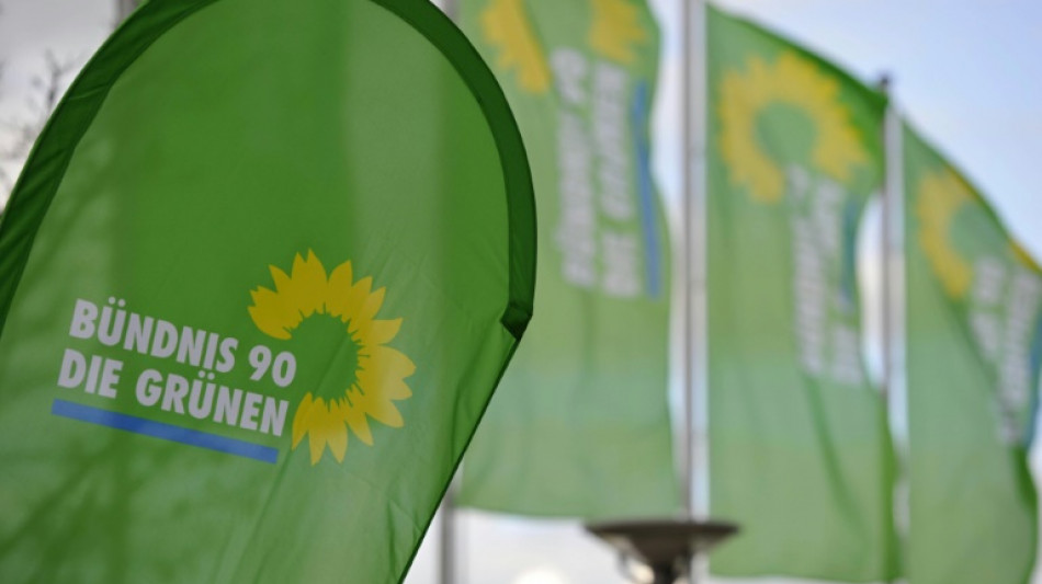 Gr&uuml;ne in Schleswig-Holstein Gr&uuml;ne w&auml;hlen Doppelspitze aus Rudow und Freitag