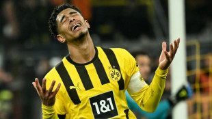Reus and Can send Dortmund three points clear