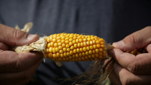 France sees limited economic hit from drought, heatwaves