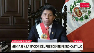 El Congreso de Per&uacute; destituye al presidente Pedro Castillo
