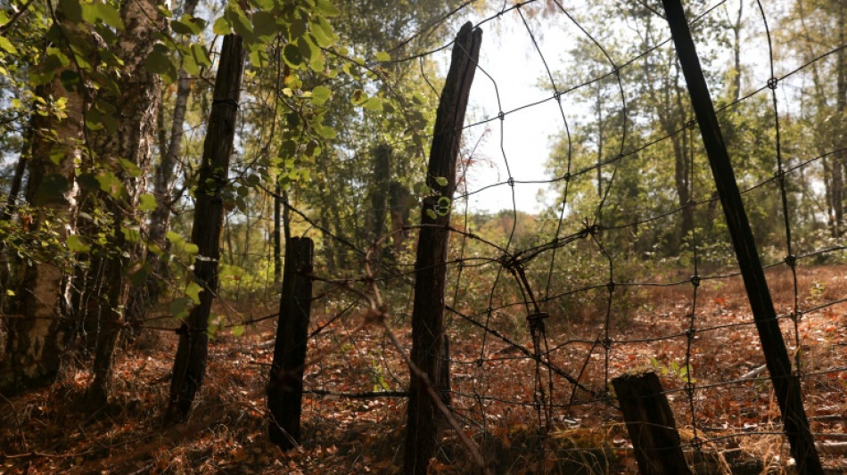 La Sologne, for&ecirc;t ab&icirc;m&eacute;e par les grillages et les chasses priv&eacute;es