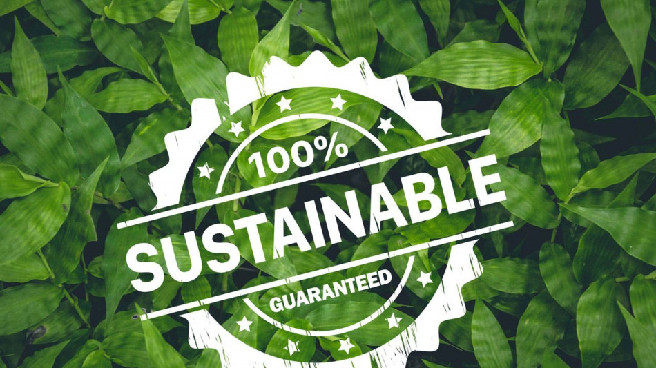 Stretta contro il greenwashing, da domani al via le nuove norme Ue