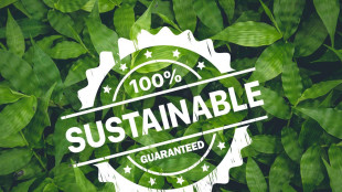 Stretta contro il greenwashing, da domani al via le nuove norme Ue