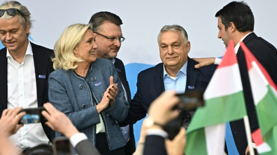 Rechtspopulistin Le Pen kritisiert EU-Reaktion auf Orbans Abwahl