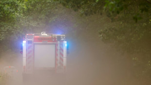 Landrat: Lage bei Waldbrand nahe H&uuml;rtgenwald stabilisiert sich zun&auml;chst