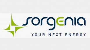 In Sorgenia le rinnovabili di F2i, entra Sixth Street