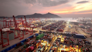 AI may boost global trade value by nearly 40%: WTO