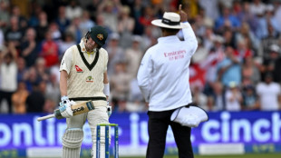 England fans fired up as Ashes drama unfolds in Leeds