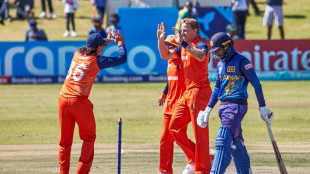 'Don't call us minions', Dutch warn ahead of Cricket World Cup