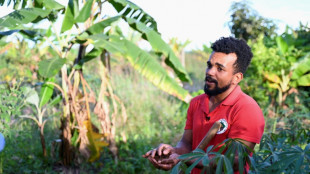 A briga do Movimento Sem Terra com o agroneg&oacute;cio no Brasil de Lula