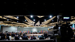 Trump-Boykott und Ukraine-Plan pr&auml;gen Auftakt des G20-Gipfels in S&uuml;dafrika