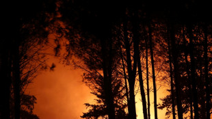 Nouvel incendie dans les Landes, 600 hectares parcourus, 500 &eacute;vacuations